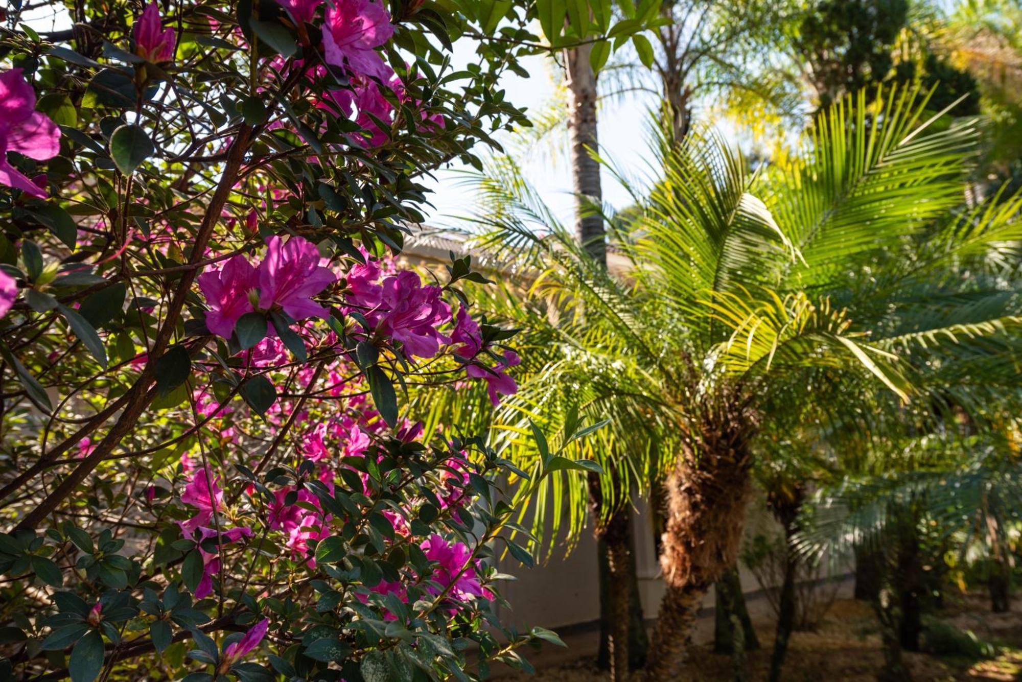 איטו Fazenda Vila Real - Grande E Charmosa Casa De Campo מראה חיצוני תמונה